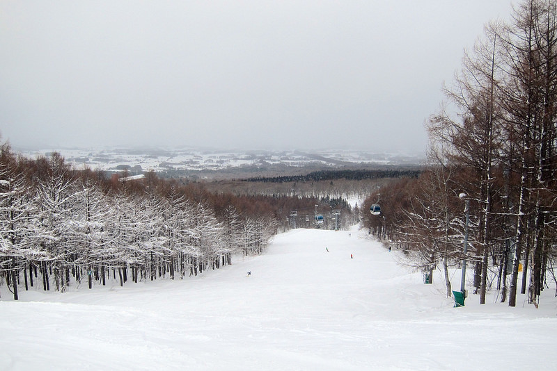 青森 鰺澤 青森之泉滑雪場 Aomori Spring Ski Resort 初中級者的粉雪天堂 Teresa的旅遊筆記