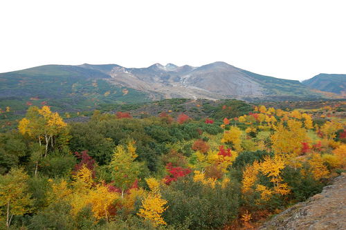 07秋 道東 與楓紅的初相遇 十勝岳望岳台 Teresa的旅遊筆記